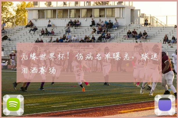 无缘世界杯！伤病名单曝光，球迷泪洒赛场