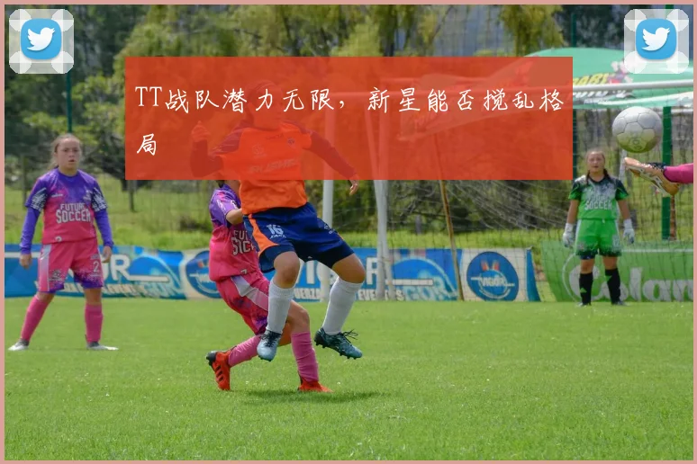 TT战队潜力无限，新星能否搅乱格局