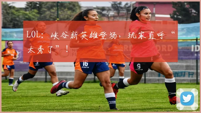 LOL：峡谷新英雄登场，玩家直呼“太秀了”！