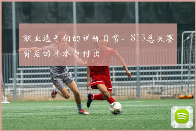 职业选手们的训练日常，S13总决赛背后的汗水与付出
